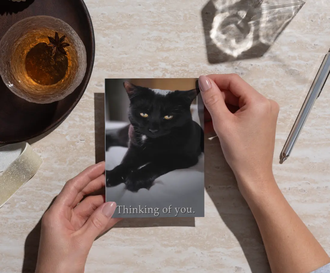 Thinking of You – 4x6 Minimalist Black Cat Anytime Card with Matching Envelope - Image 7